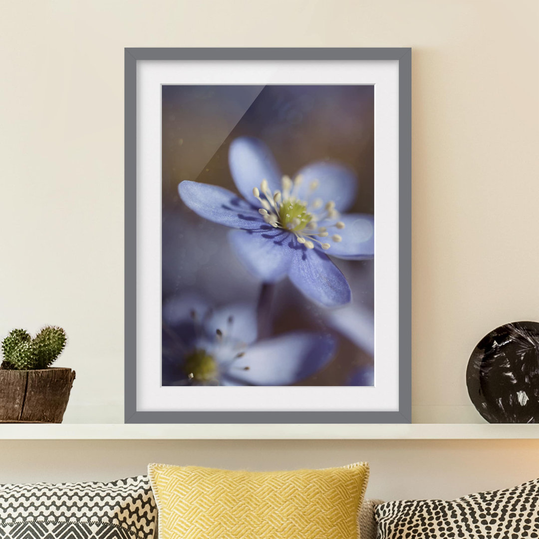 Gerahmtes Papierbild Anemonen in Blau