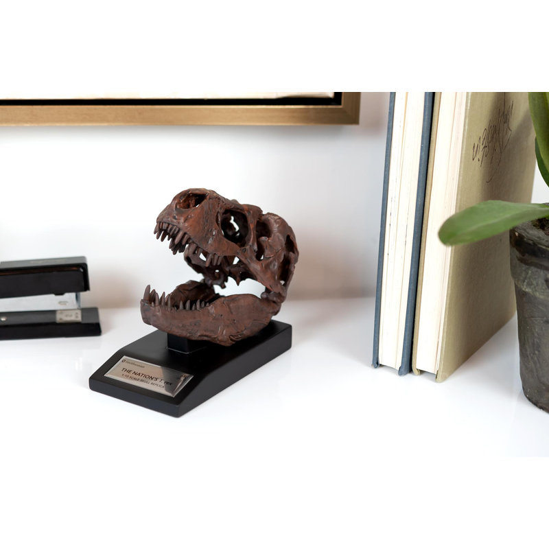 Statue tête de mort Haim T-rex