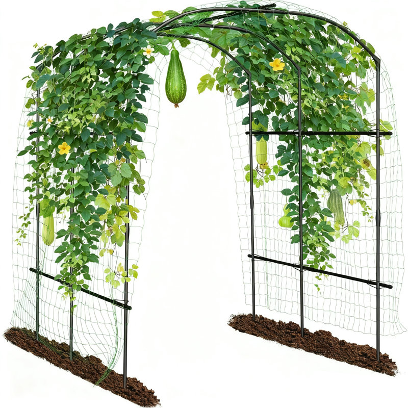 220cm H x 190cm W Other Arched