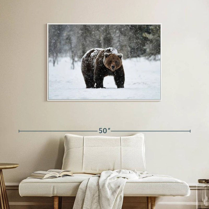 Ours grizzly d'hiver, Cadre flottant blanc, 40 po x 27 po