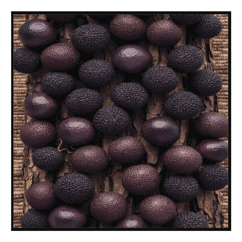  Tapis lavable à motif de fruits Jabuticaba, Carré 8 pi