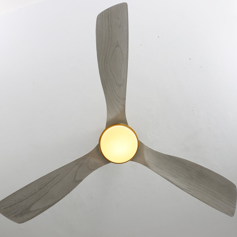 Nicola 52'' 3 - Blade Modern Ceiling Fan with Remote Control and Light Kit, Gold/Light Gray Blades