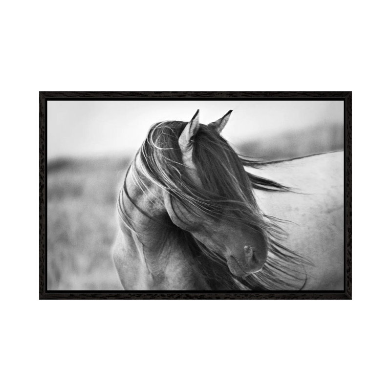 Tony Stromberg - Wrapped Canvas Print, 101.6 cm H x 66.04 cm W, Black Floater Framed