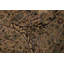 Tapis brun clair / brun en laine Passyunk