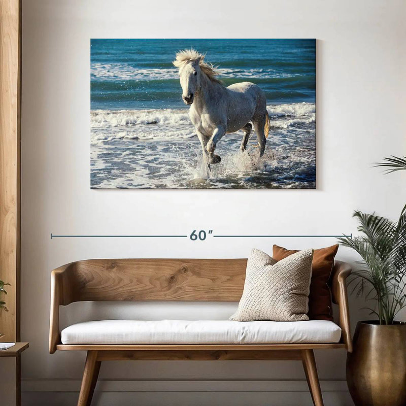 Brampt Camargue qui court sur la plage, H 30 po x l 45 po