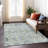 Cederick Floral Indoor / Outdoor Rug-109567622