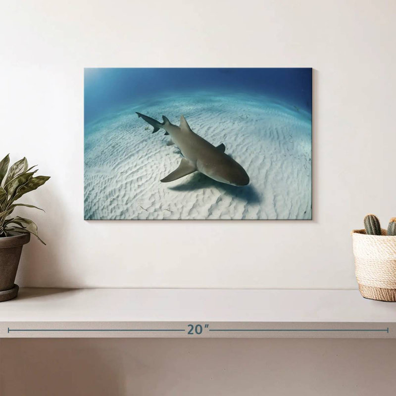 Brampt Lemon Shark Over The Seabed, 8" H x 12" W