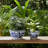 Decorative Stoneware Ceramic Planters With Timeless Garden Accent Design, Durable Artisan Craft For Stylish Display, Versatile Contemporary Plant Containers, Set Of 2