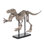 Dinosaur Skeleton Handmade Resin Wall Decor