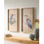 Animals Dimensional Wall Art
