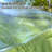 Transparent Rainfly Replacement-114893656