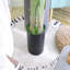 62.99cm Plant