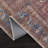 Oriental Indoor Rug-72239548