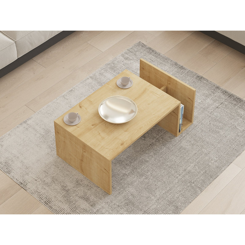Shelbyville Abstract Coffee Table with Storage