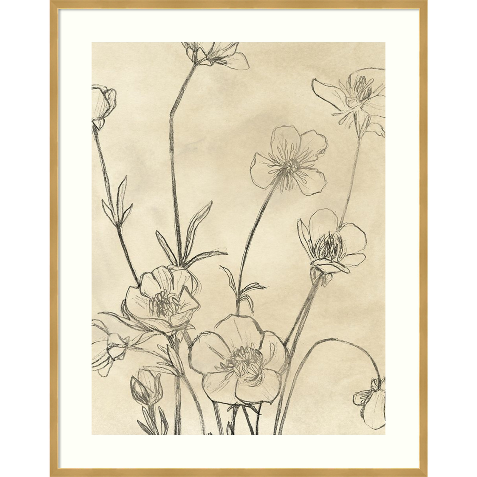 Vintage Wildflowers I by June Erica Vess, 41" H x 33" W, Gold