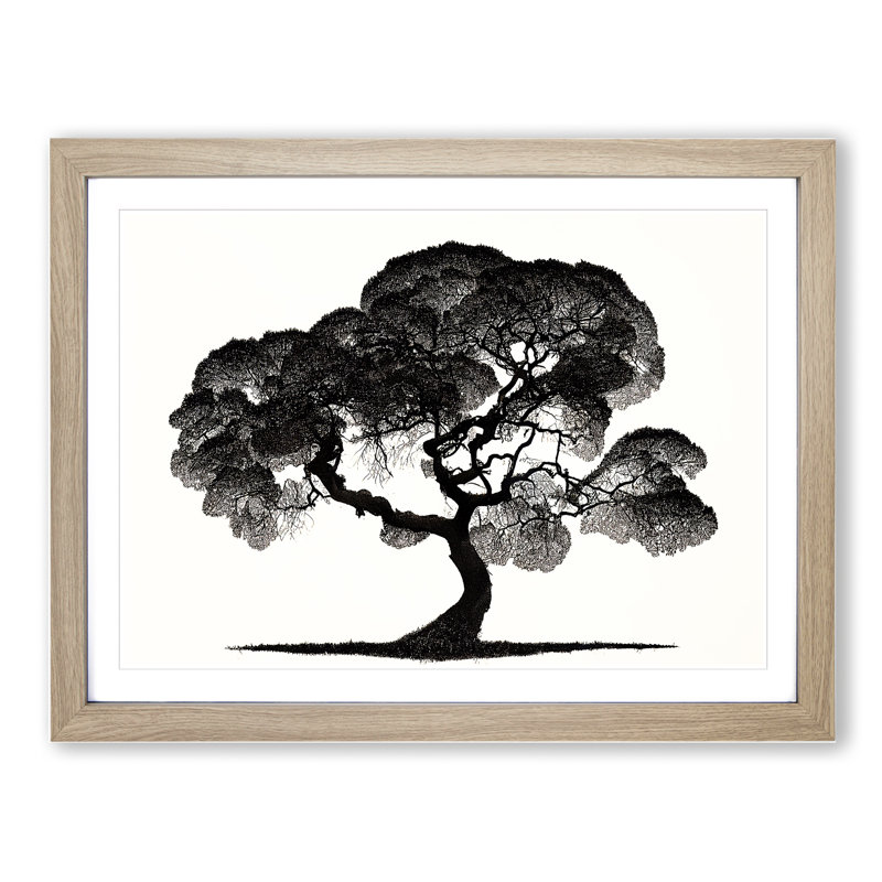 Entrancing Tree - Single Picture Frame Print, 46cm H x 64cm W x 2cm D, Oak