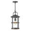 Medium Hanging Lantern-1757425297