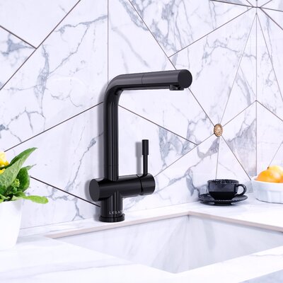 Lulani Nassau Pull Out head (no spray feature) Single Handle Kitchen Faucet -  KA-240-30SB