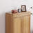 Double-Door Multi-Tier Shoe Storage Cabinet