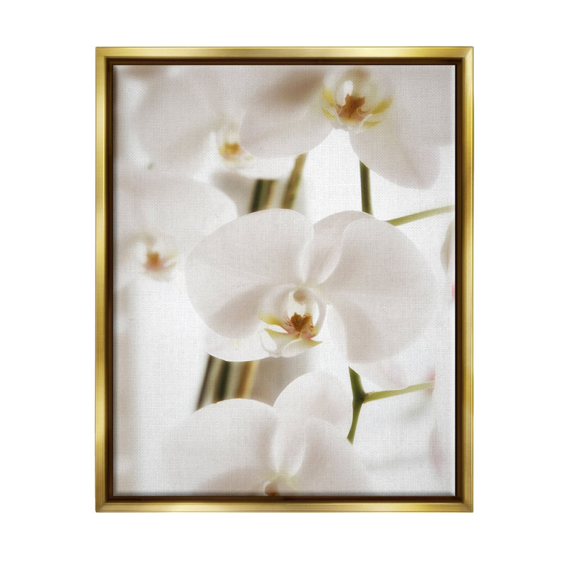 Élégant art mural sur toile flottante avec pétales d'orchidées blanches par Savanah Plank, H 31 po x l 25 po x P 1,7 po