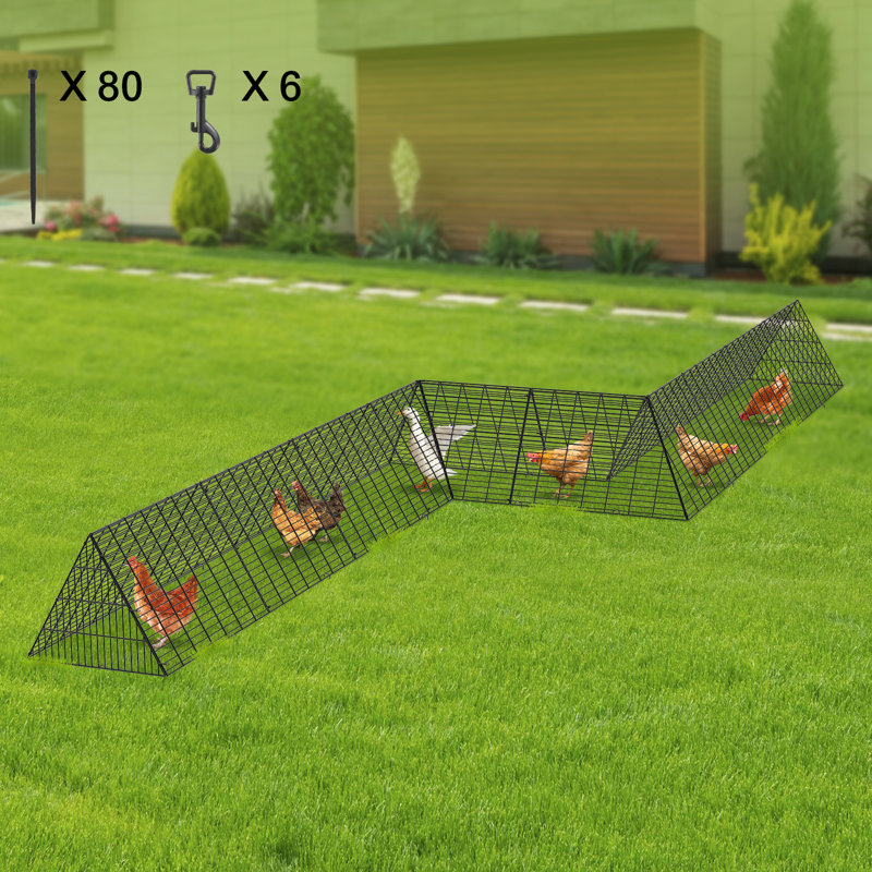 Floden Chicken Run, 24" H x 287" W x 78" D