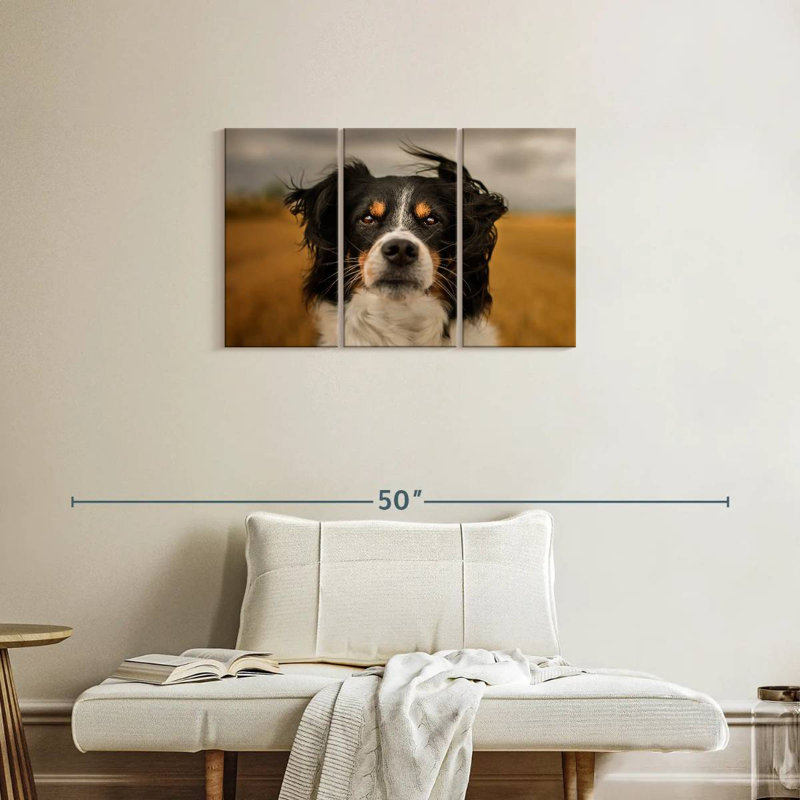 Brampt Expressive Border Collie, 20" H x 33" W