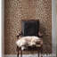 Iconic Leopard Wallpaper-69259198