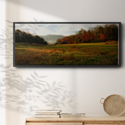 Warm Morning Light- Framed Canvas