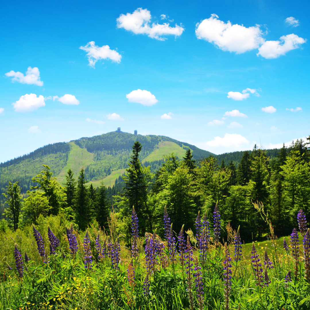 Meryl Mountain Grosser Arber by Vencavolrab - Wrapped Canvas Photograph