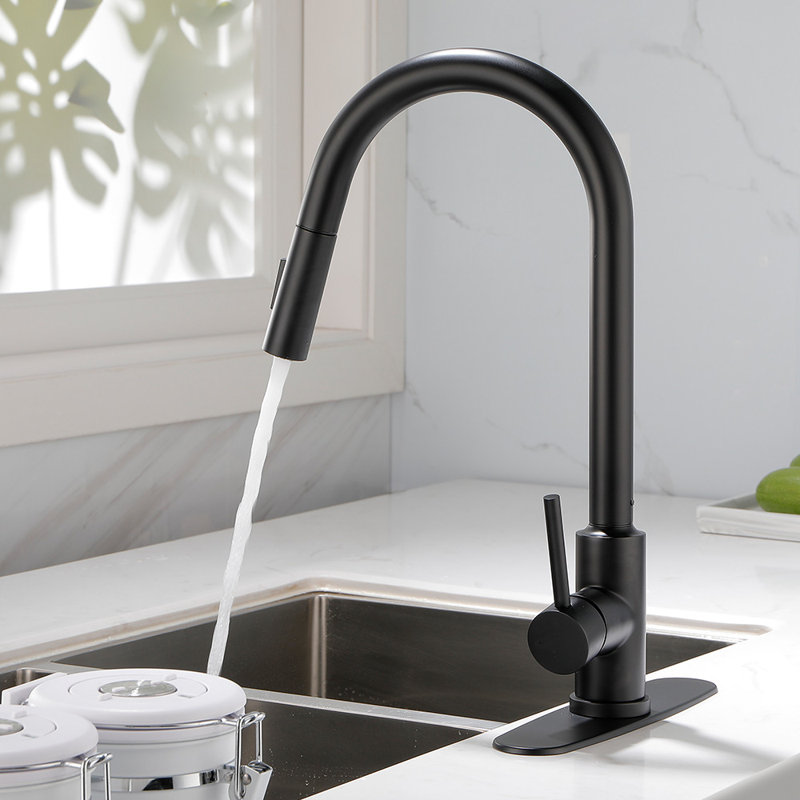 Single Hole Single Handle Pull-Down Kitchen Faucet, Matte Black