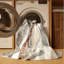 Tapis Windswept Harmony-366896305