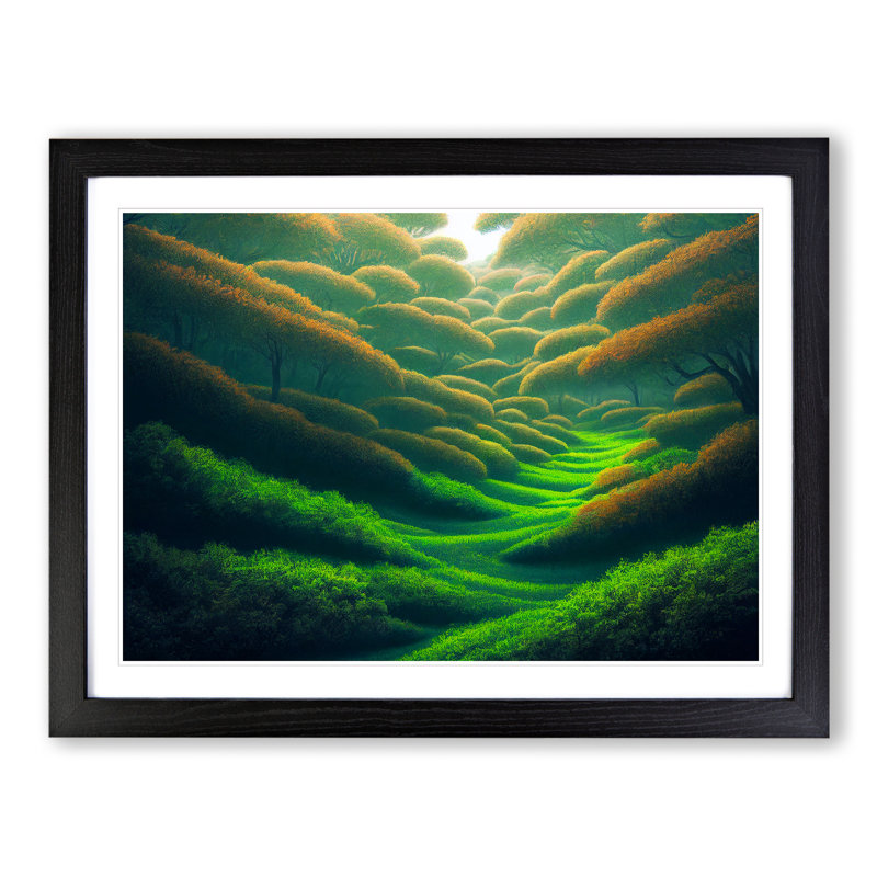 Forest Beauty - Single Picture Frame Print, Black Framed, 34cm H x 46cm W x 2cm D