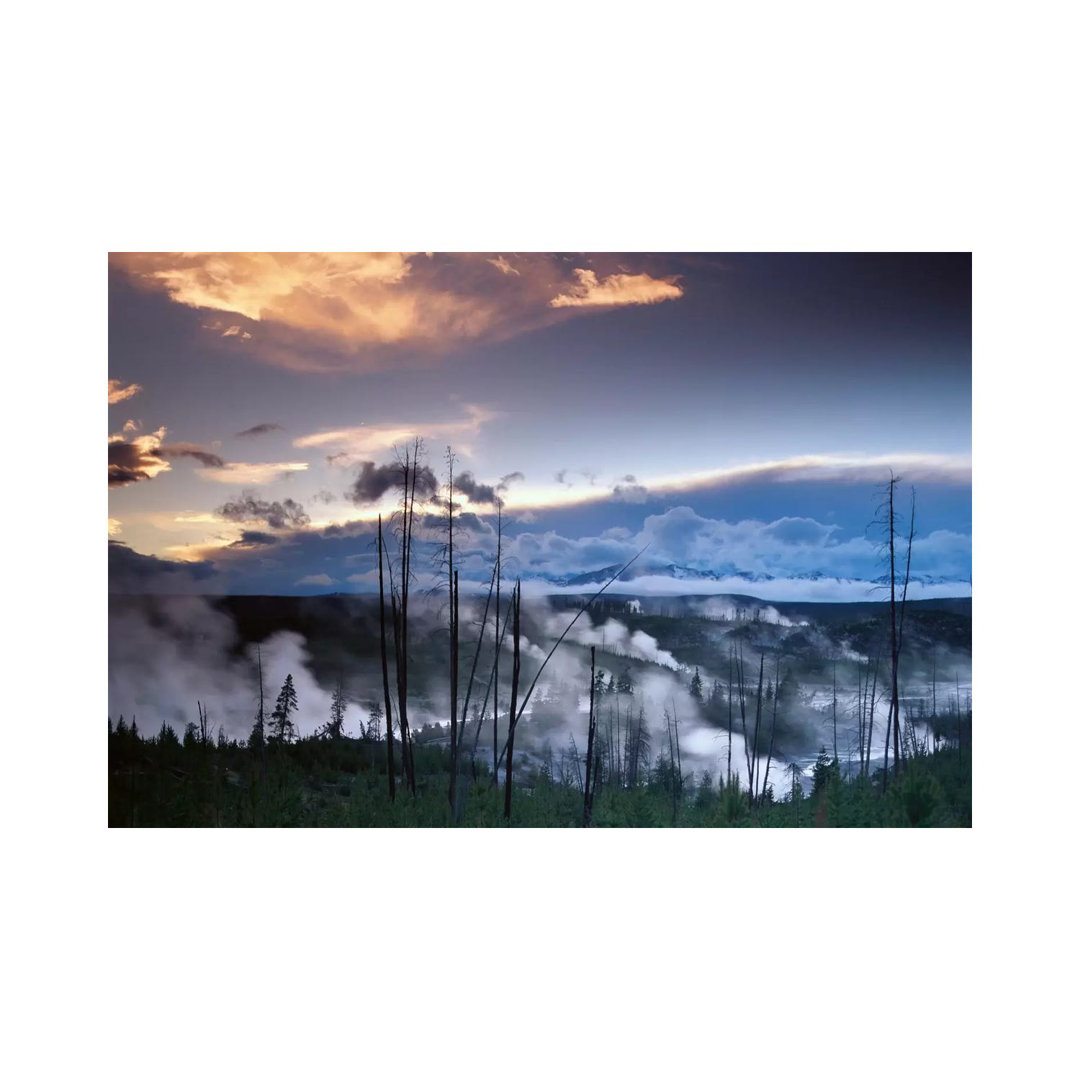 Norris Geyser Basin With Steam Plumes From Geysers, Yellowstone National Park, Wyoming by Tim Fitzharris - Wrapped Canvas Print