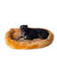 Beignet-3847980-11097547