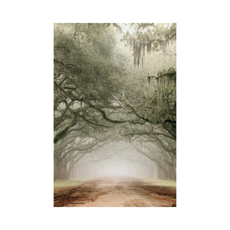 Plantation Drive, 12" H x 8" W x 0.75" D, Canvas