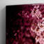 Japanese Cherry Blossom Pink Tree Photographic - Wrapped Canvas-19040997