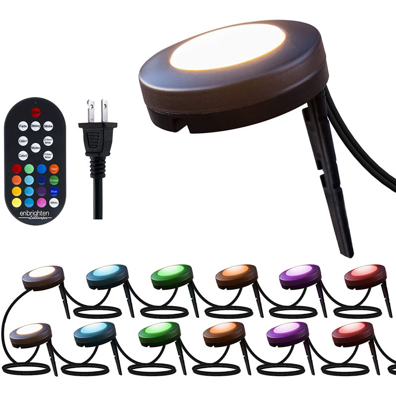 Seasons Black Plastic LED Pathway Lights with Remote