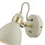 Azalea Spotlight-58964988