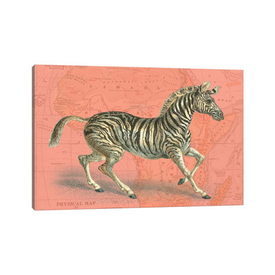 African Animals on III