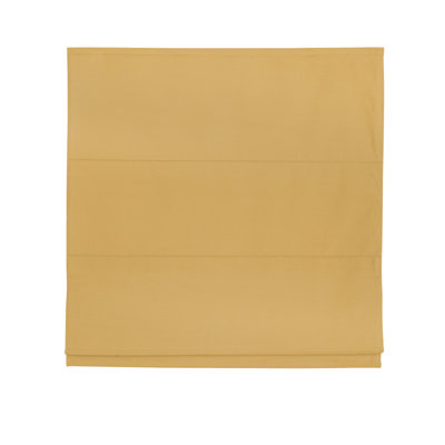 Life Blackout Roman Blind