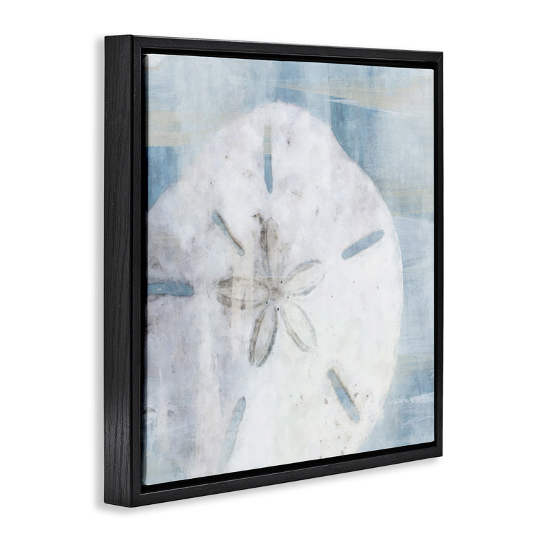 Pastel Blue Sand Dollar Seashell, Jet Black Floater Frame, 18" H x 18" W