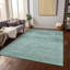 Tapis turquoise intérieur / extérieur lavable à la machine Claudian ACN1647-109534689