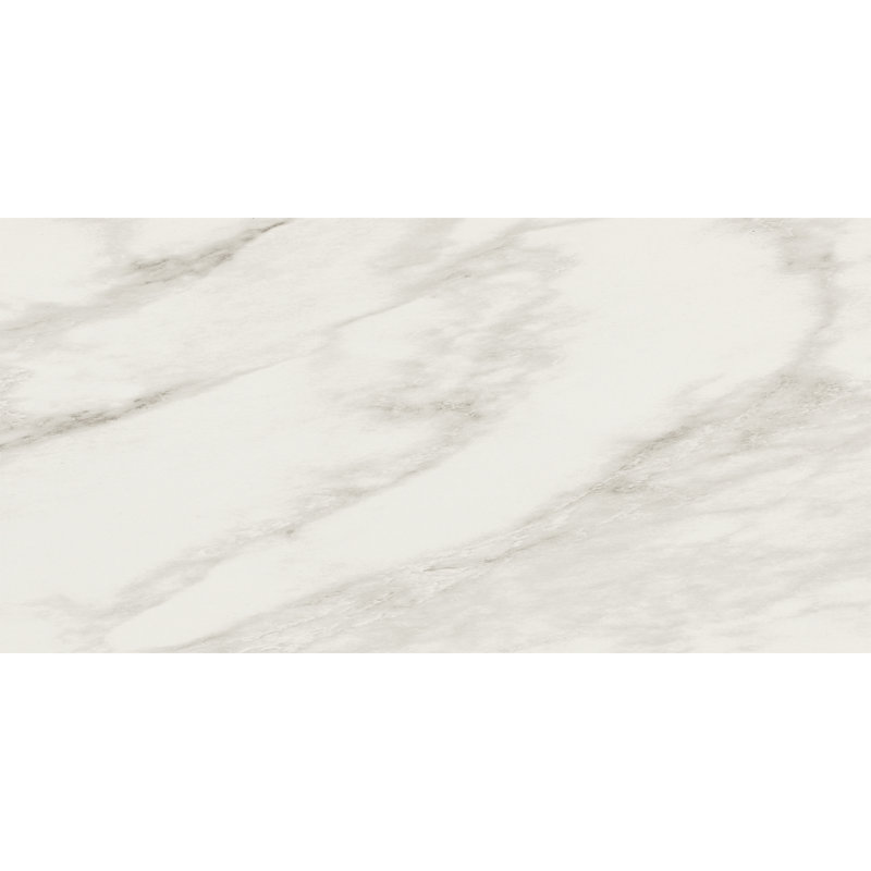 Daltile Perpetuo 12 x 24 Matte Porcelain Marble Look Floor & Wall Tile (9.00 PC Per Carton) (17.02 SQ FT Per Carton)