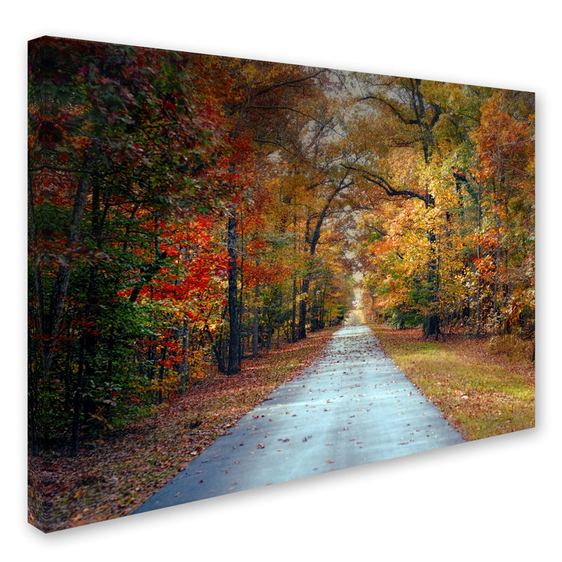 Reproduction de photo sur toile tendue Vidur, H 14 po x l 19 po