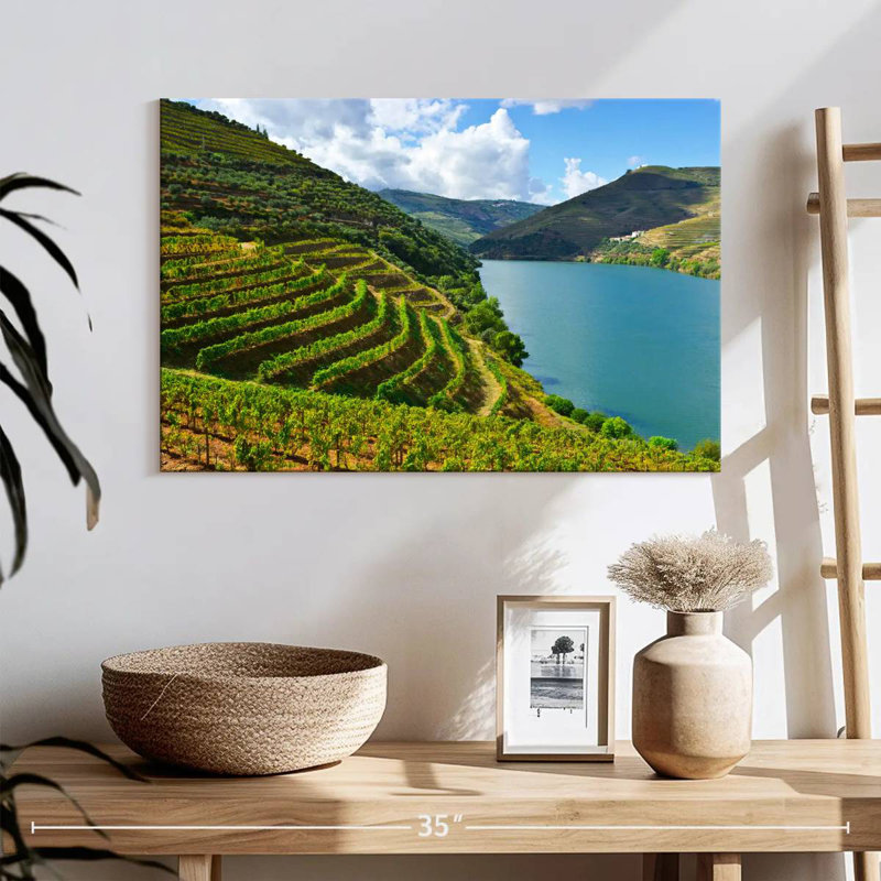 Alvord Douro Grapevine Valley, 16" H x 24" W