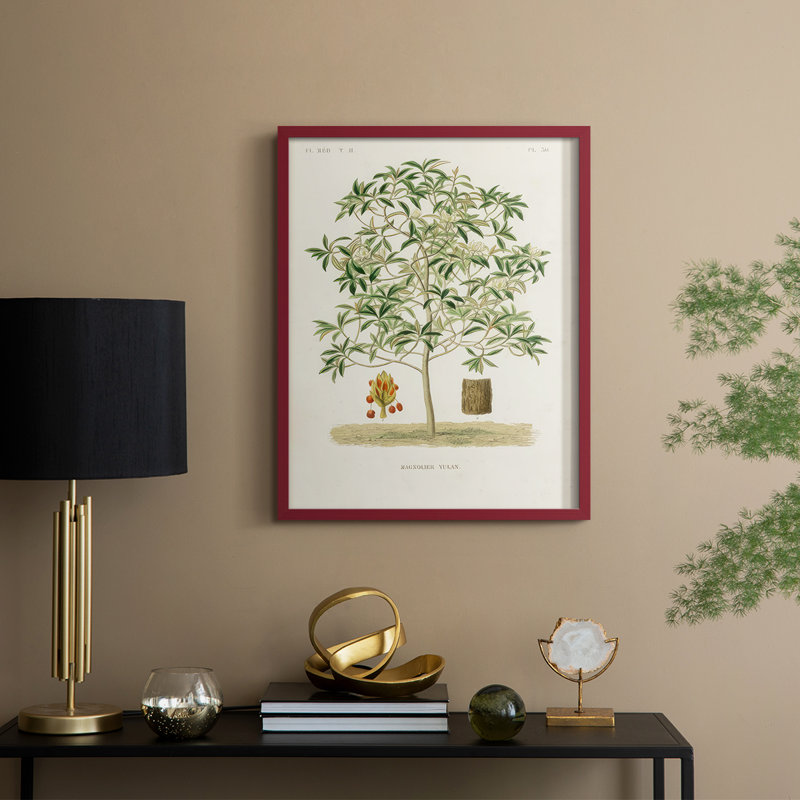 Arbre antique avec fruit VI, reproduction encadrée - bois massif, H 11 po x l 9 po, Rouge
