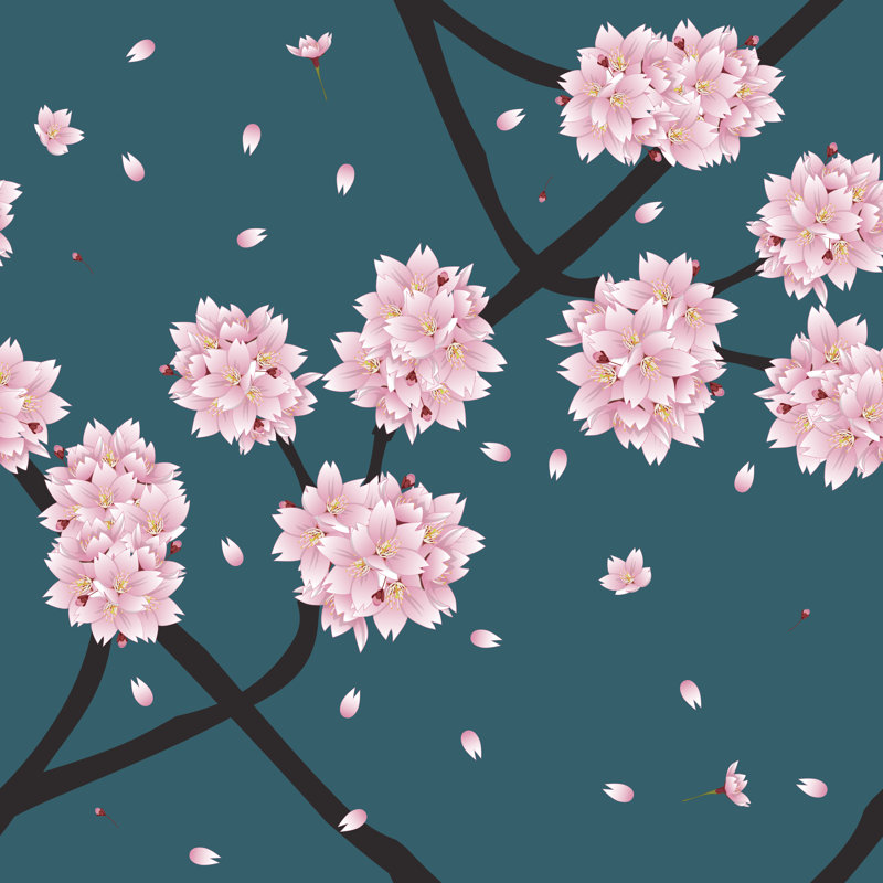 Sakura Blossom Flowers by Asamask92 - Wrapped Canvas Print, 51cm H x 51cm W x 3.8cm D