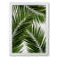 Palm Leaf III - Print-39523797-39523792