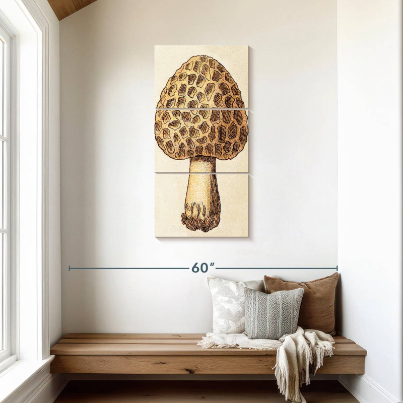 Morille et champignon, H 44 po x l 21 po