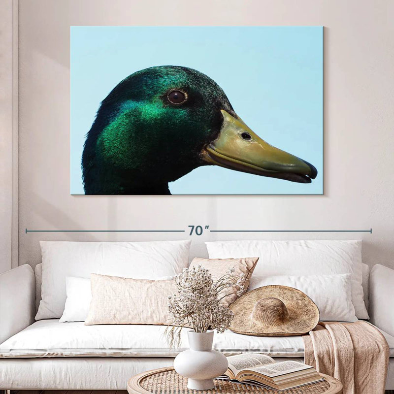 Mallard Duck Close Up, 34" H x 51" W